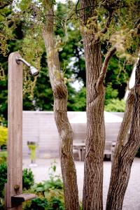 Vakantiewoning Renard Ronse