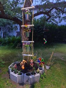 Familie Graf-Nafikov