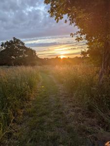 Cabane des deux chênes