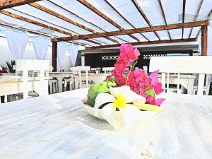 Villa SunShine exclusive