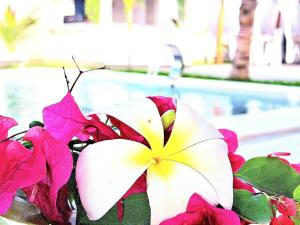 Villa SunShine exclusive