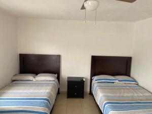 Apartamentos Amplios Alfa # 238