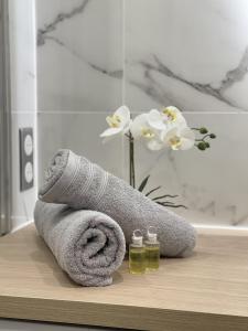 Appartements Thelissa Modern Studio - Front Metro station - Free parking : photos des chambres