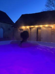 Maisons d'hotes Chambres d'hotes La Massonniere avec grand jardin - ideal familles, groupes et sejour nature - Sarthe : photos des chambres