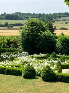 Maisons d'hotes Chambres d'hotes La Massonniere avec grand jardin - ideal familles, groupes et sejour nature - Sarthe : Suite Deluxe avec Lit King-Size