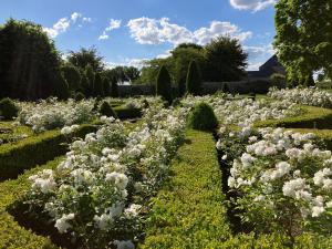 Maisons d'hotes Chambres d'hotes La Massonniere avec grand jardin - ideal familles, groupes et sejour nature - Sarthe : photos des chambres