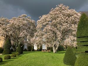 Maisons d'hotes Chambres d'hotes La Massonniere avec grand jardin - ideal familles, groupes et sejour nature - Sarthe : photos des chambres