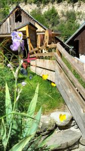 B&B / Chambres d'hotes AU SOMMET DES NARCISSES : photos des chambres