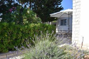 Family House Stara Novalja