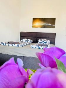 Cozy Rooms in Brigittenau Area MM23