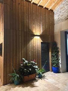 Villas La cave : photos des chambres
