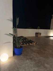 Villas La cave : photos des chambres