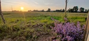 Caravan Romsicht Sneek