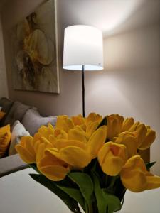 Apartmani Zlatibor centar