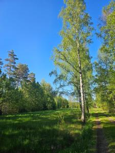 Charming Country Cottage