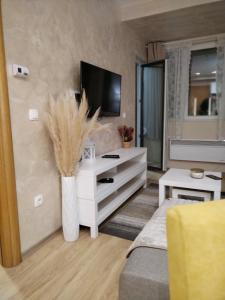 Apartmani Zlatibor centar