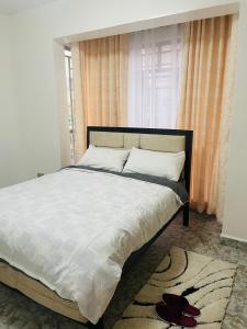2 BedroomEn Suite Apt with Balcony - Ruaka