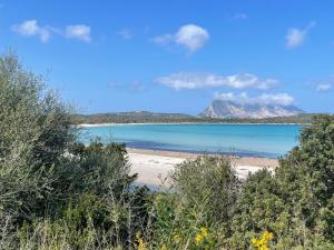 Le Dimore del Sole Tavolara apartment img24