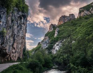 Golemi kamik Pirot Vlasi 2