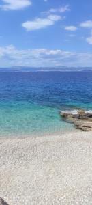 Luxury apartments Nicole 2