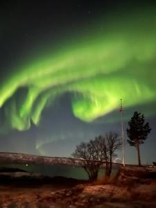 Nybygd og sentral leilighet