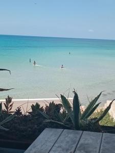 La Sirène BENI KHIAR TUNISIE AFRIQUE