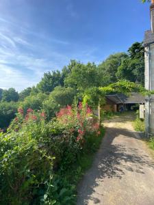 Maisons de vacances Clos des Mesanges : photos des chambres