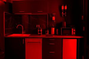 Appartements Le baiser 2 Love room du plaisir interdit : photos des chambres