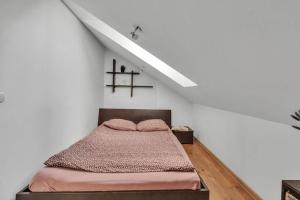 Vilnius Old Town Amber Penthouse