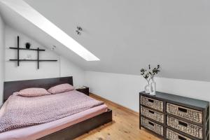 Vilnius Old Town Amber Penthouse