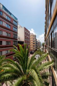 Casita Palmera Las Canteras