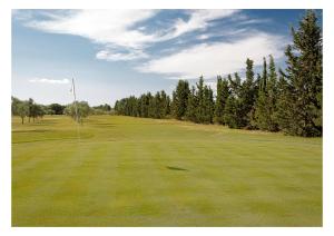 La Mora Bianca img20