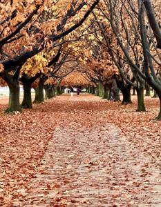 Eaglehawk Park Canberra