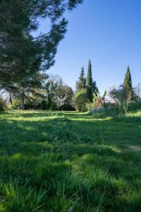 Campings Emplacement pour tente : photos des chambres