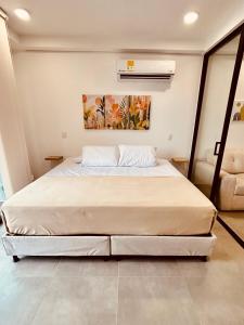 Exclusivo Aparta Suite Premium