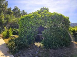 Villas Les Hirondelles : photos des chambres