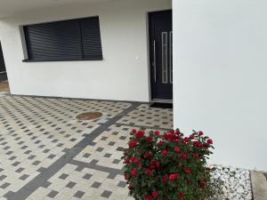 La maison du vignoble à BENNWIHR