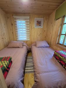 Cabaña Los Lleuques, Descanso en Cordillera a orillas del río Renegado