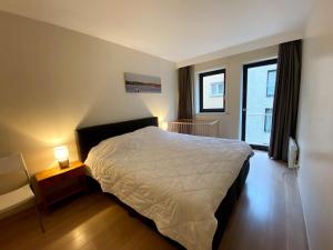 Apartment in Nieuwpoort with Sea Views