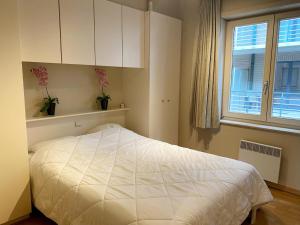 Apartment in Nieuwpoort near the Beach