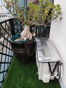 Benedict Funchal Center