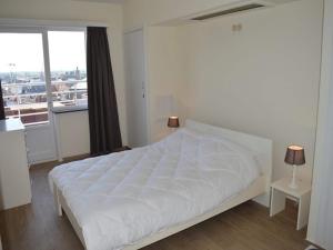 Apartment in Blankenberge with Sea View
