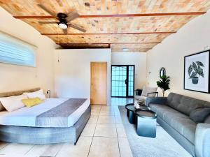 Ajijic Retreat Studio with Outdoor Salt Water Pool