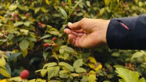 Route to Cerro Urán - Chirripó