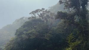 Route to Cerro Urán - Chirripó