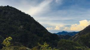 Route to Cerro Urán - Chirripó