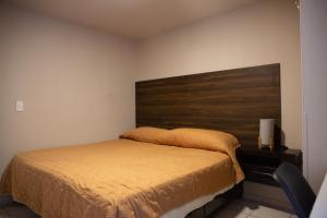 Departamento Carrera