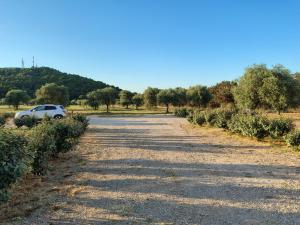 Bombarde Natural House img17