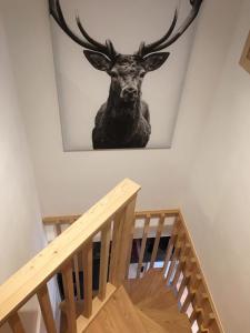 Duplex renovated in 2021 in Roubion