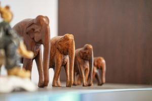 Appartamento immerso nel verde